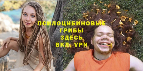 сатива Кукмор