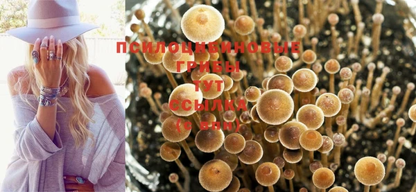Альфа ПВП Кулебаки